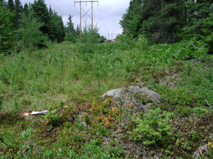 Photo By: Stephen M. Young. Photo taken: Franklin County, NY on 22 July 2003